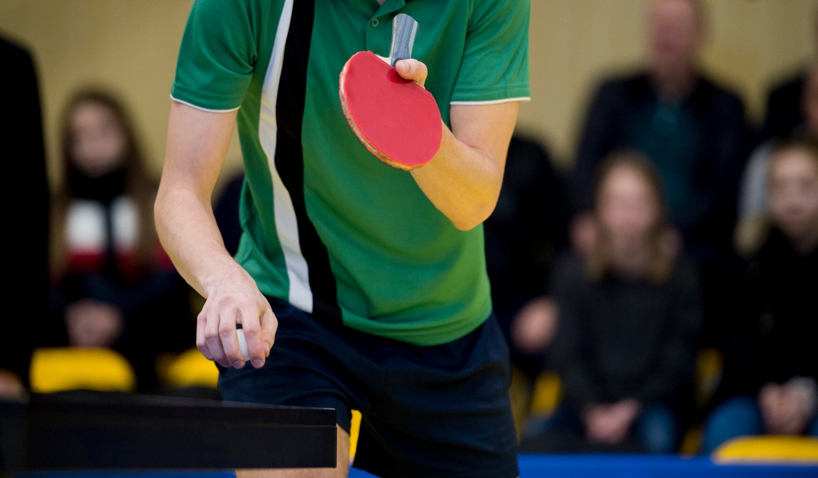 Close up of a man hands holding table tennis rocket and ball ping pong isneauville